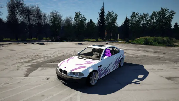 BMW E46 LAAKAYSTYLE